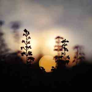 生于安乐 死于忧患的名言