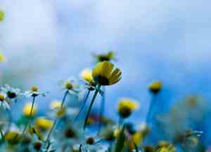 刘邦的经典语录