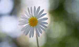 甜蜜故事讲给女朋友