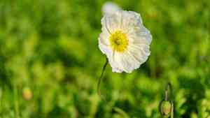 激励自己的十大话狠话名言