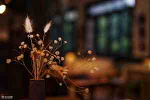 重度抑郁的丧句长文英语