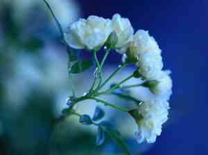 小孩研学旅行朋友圈