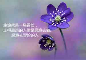 关于物流的朋友圈说说