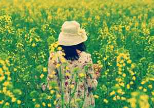 草莓的文案标题