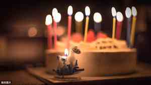 幽默风趣的生日文案 朋友圈