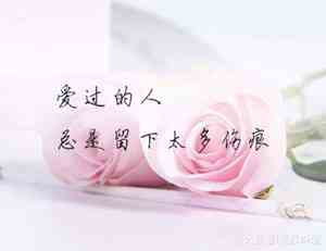 遇见你真幸福中考满分作文