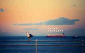 捧哏的常用台词嗯啊这是