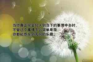 月亮诗句大全唯美句子