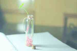 倒春寒泡温泉文案