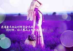 新年的一幅画一年级