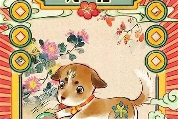 属狗的适合养什么小动物？属狗的六月份学业运势如何