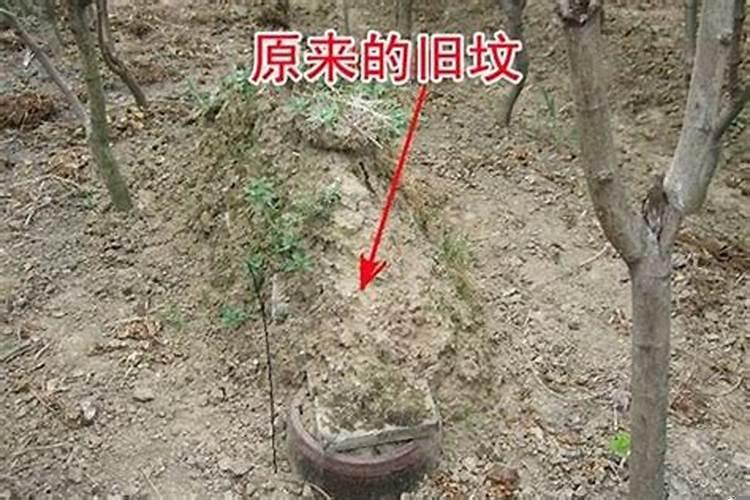 祖坟长草好还是不长草好？坟地风水怎么看旺后人
