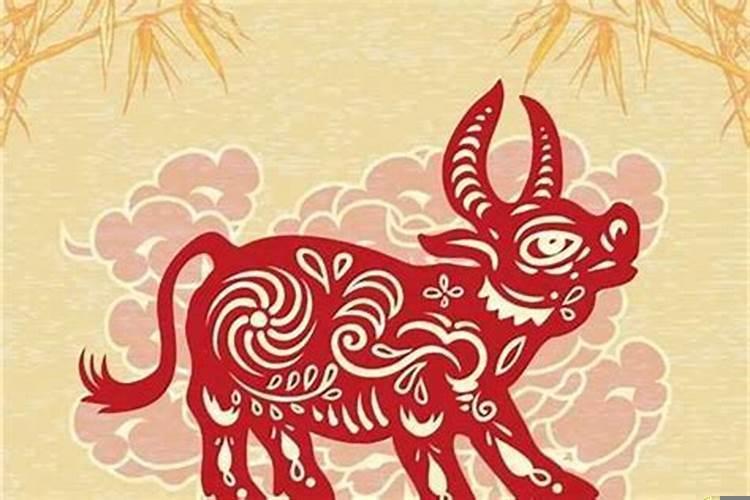 73年属牛的男人2023年运程