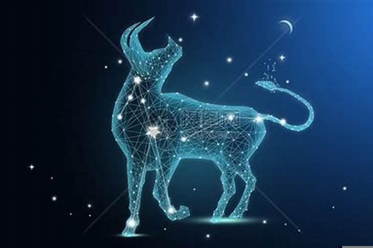 你真的能读懂金牛座吗英文？为什么说金牛座的眼睛很特殊