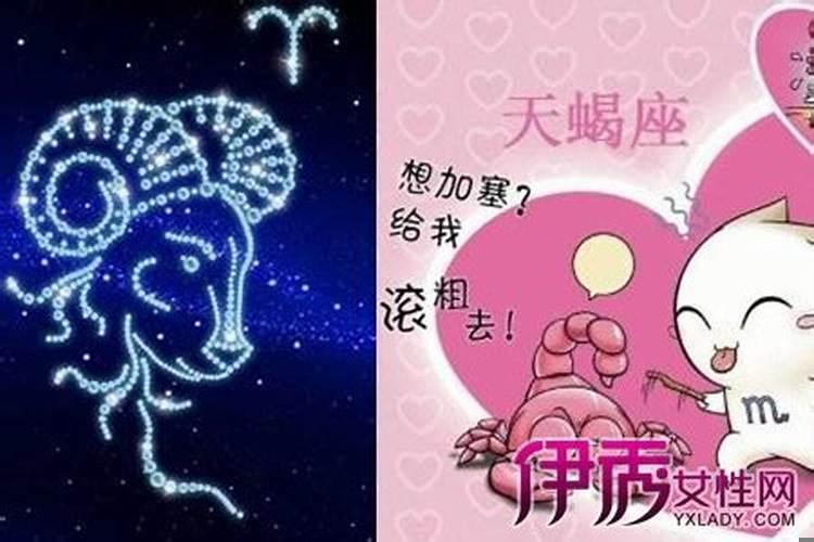 天蝎和射手座爱情指数哪个高