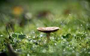 除夕发家长群的祝福语幼儿园