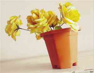 抖音经典语录怎么赚钱