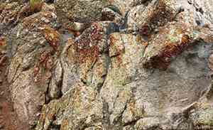 恢复前世记忆的咒语