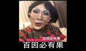 韩美娟经典语录百因必有果