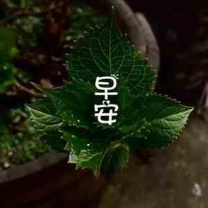 天气之子语录日语