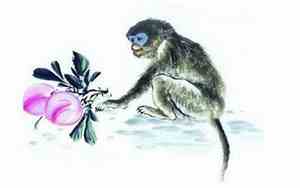 猴年寅时出生的男孩