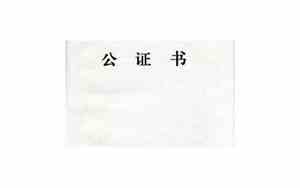大连出生公证