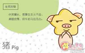 属猪的腊月出生好吗