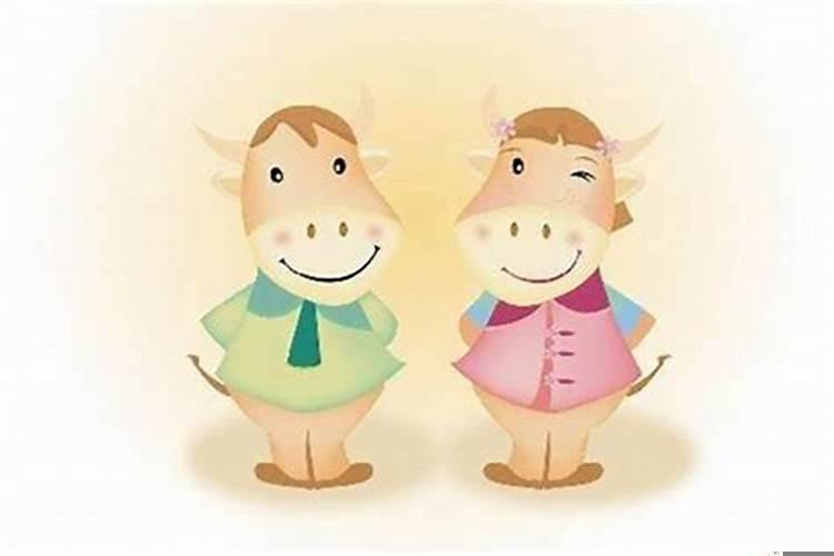 属牛男宝宝几点出生最好？几点出生男孩有福气呢