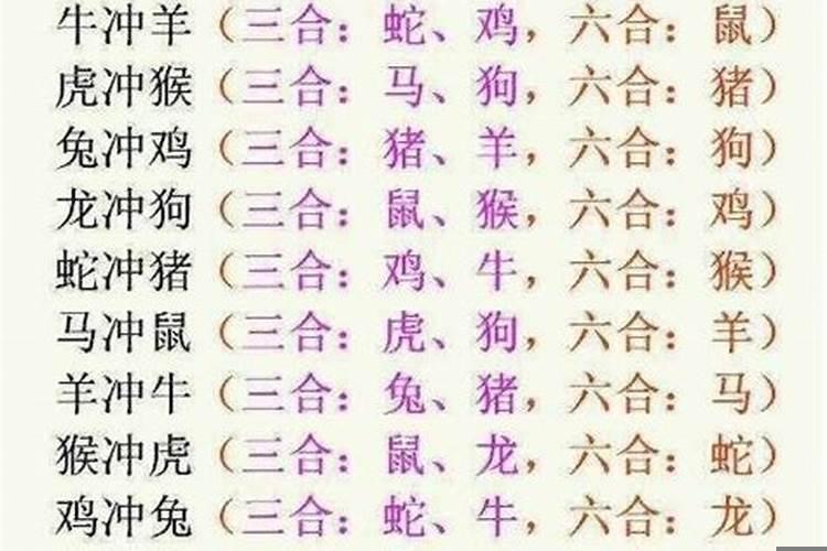 属相相冲会怎样